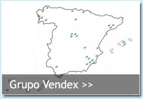 Grupo Vendex